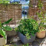 Bed & Breakfast Hotel-cafe 3 Kronen 3*