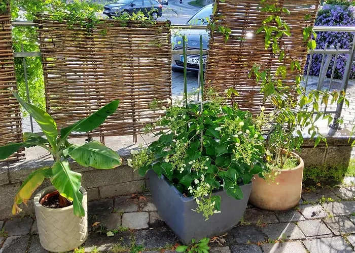 Bed & Breakfast Hotel-cafe 3 Kronen 3*