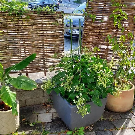 Bed & Breakfast Hotel-cafe 3 Kronen 3*
